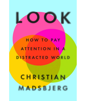 Look how to pay attention in a distracted world Christian Madsbjerg ISM biblioteka ISM library